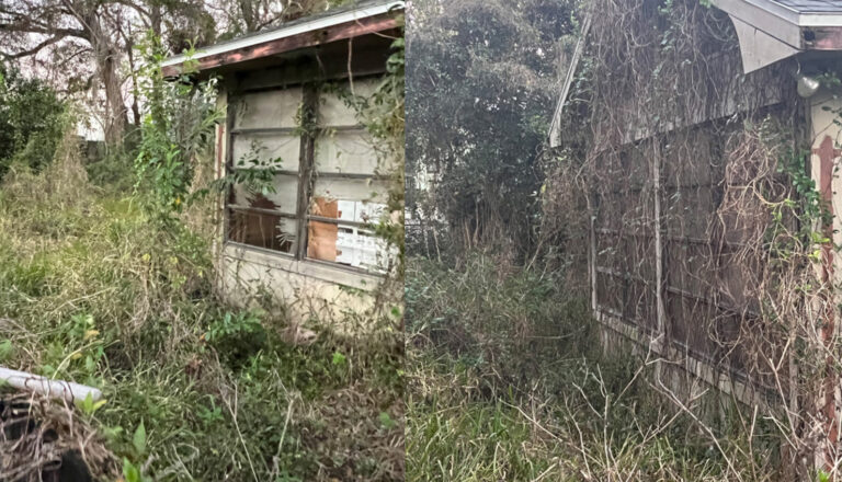 the jumanji project backyard overgrown with from lack of maintenance for several years